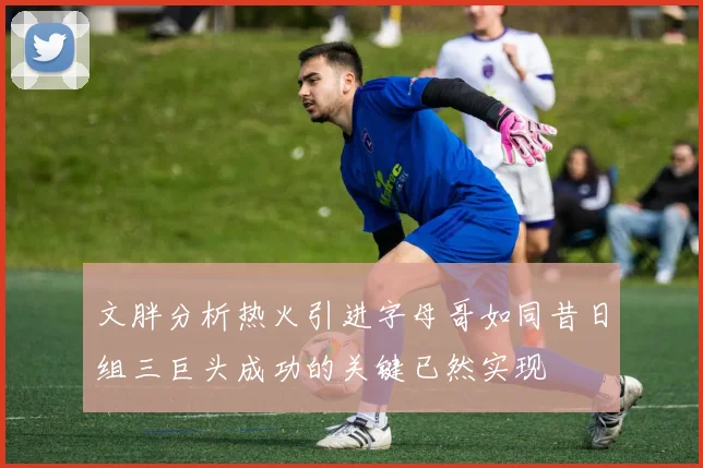 文胖分析热火引进字母哥如同昔日组三巨头成功的关键已然实现